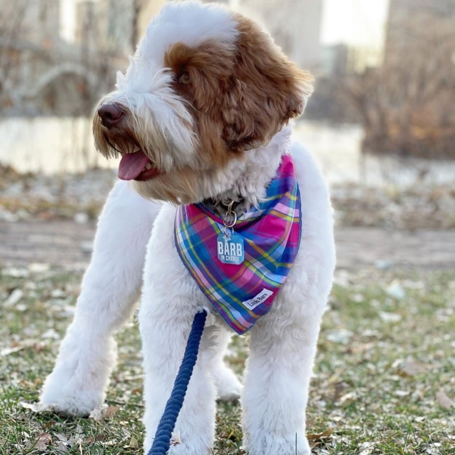 TD Colorful Plaid Bandana Stylish Pet Clothes for Your Furry Friend