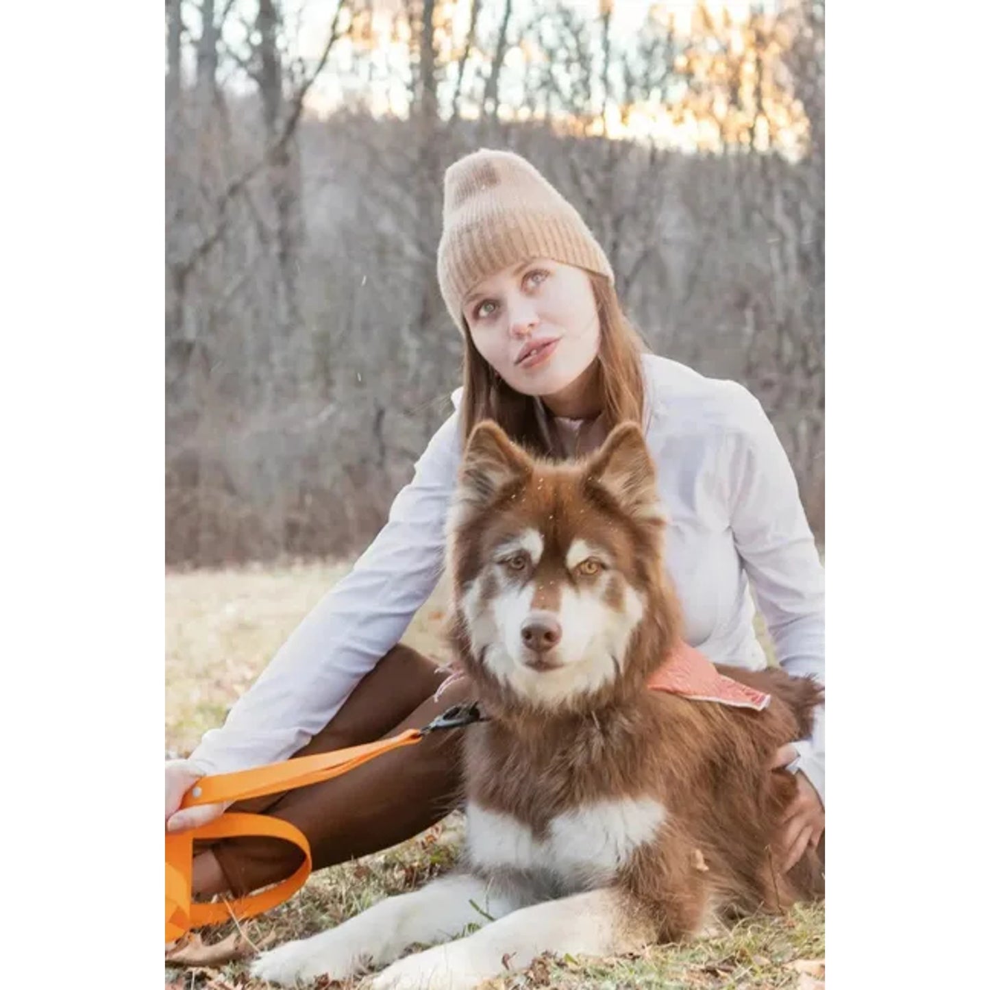TD Twilight Trails Bandana Stylish Pet Clothes for Dogs and Cats