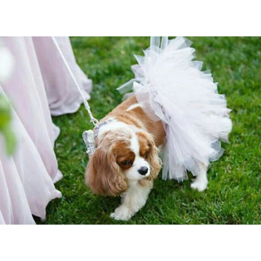 TD XS White Bridal Dog Tutu Skirt Pet Clothes