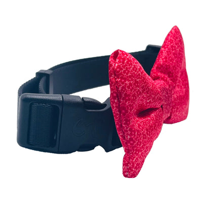 TD Cutie Dog Bow Tie Fashionable Pet Clothes Accessory