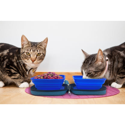 TD Eco-Friendly Collapsible Dog Bowl Travel Silicone Water and Food Bowl for Outdoor Use Cats and Dogs