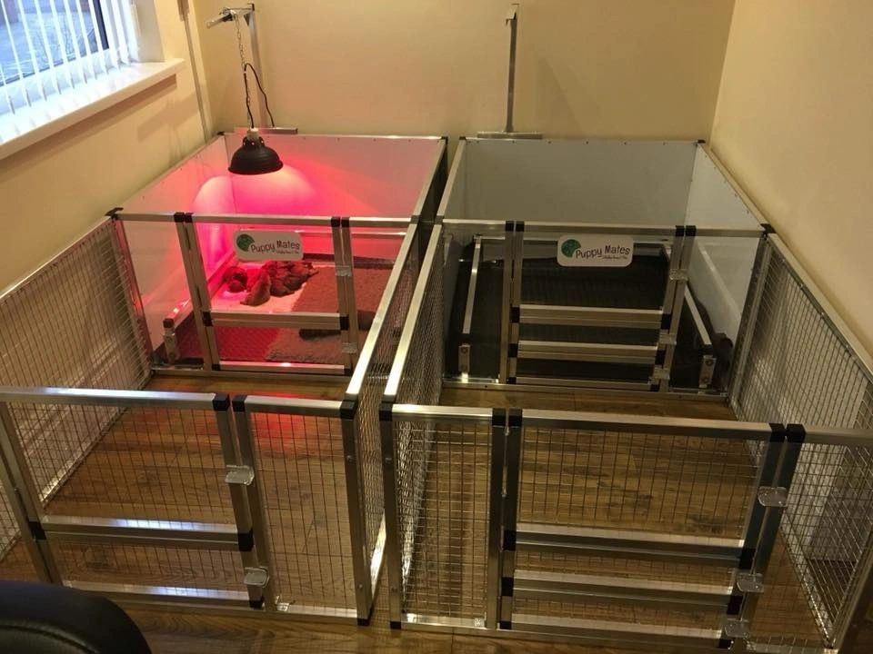 United States WAREHOUSE 7 DAYS to DOOR Metal and Glass Puppy Whelp Ing Box Large Aluminum Dog Elevated Whelp Ing Box with Fence
