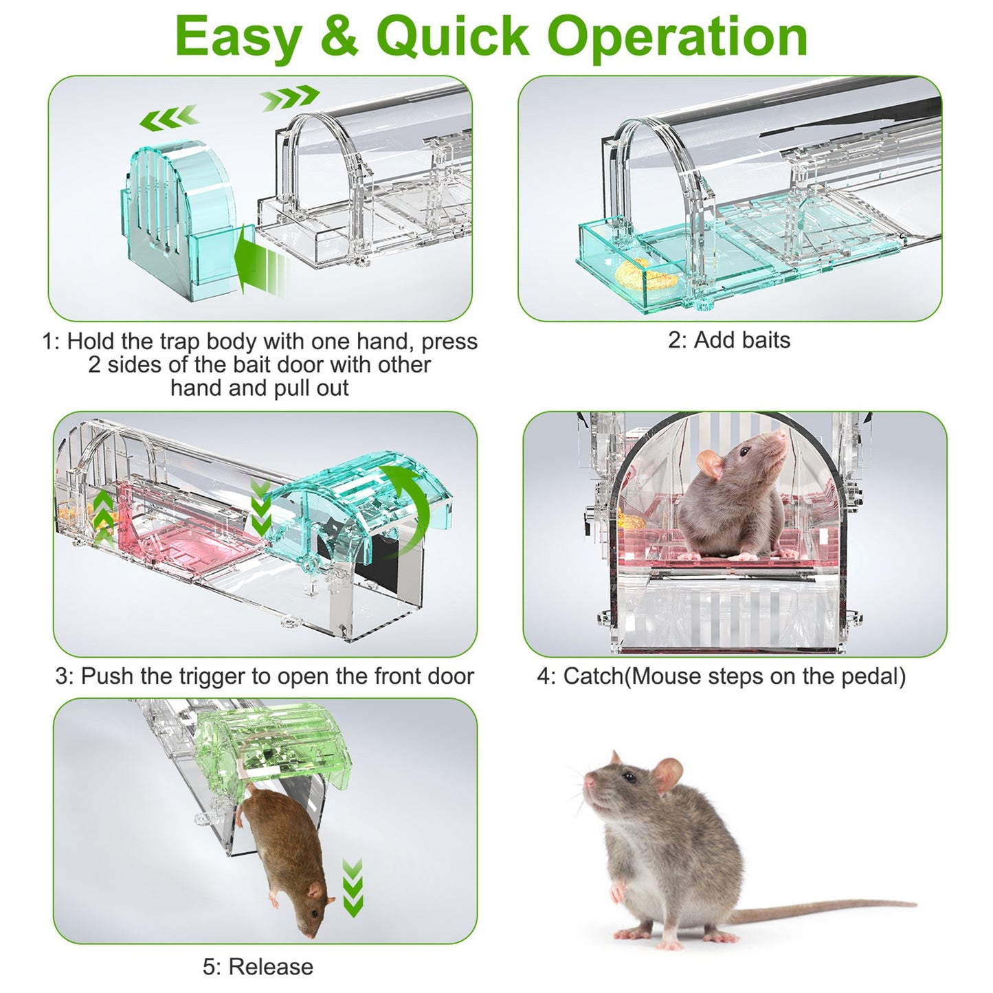 4Pcs Reusable Plastic Humane Live Mouse Trap Safe Rodent Catch Release Cage for Family Children & Pets Easy Setup