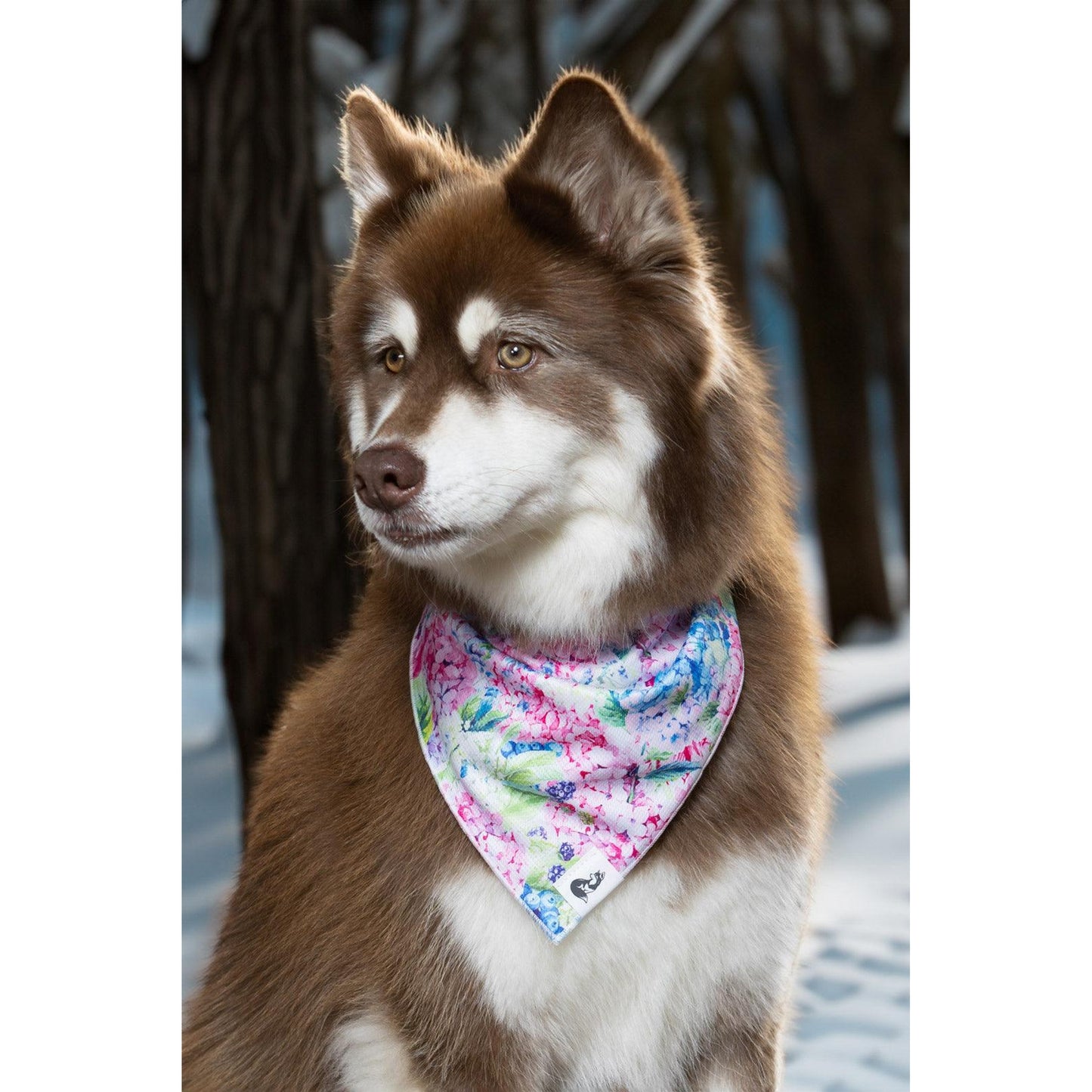 TD Hydrangea Haven Dog Bandana Stylish Pet Clothes for Canine Comfort