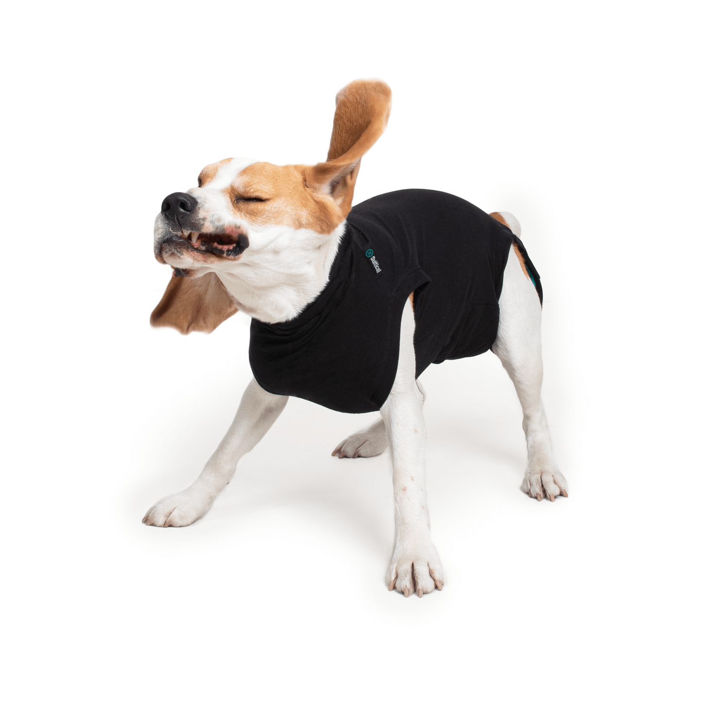 TD Classic Style TD Suitical Dog Recovery Suits Breathable Polyester Pet Clothes XS Size Accessory Coat for Cats & Puppies