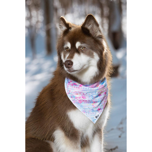 TD Pet Clothes Pink and Blue Tribal Dog Bandana