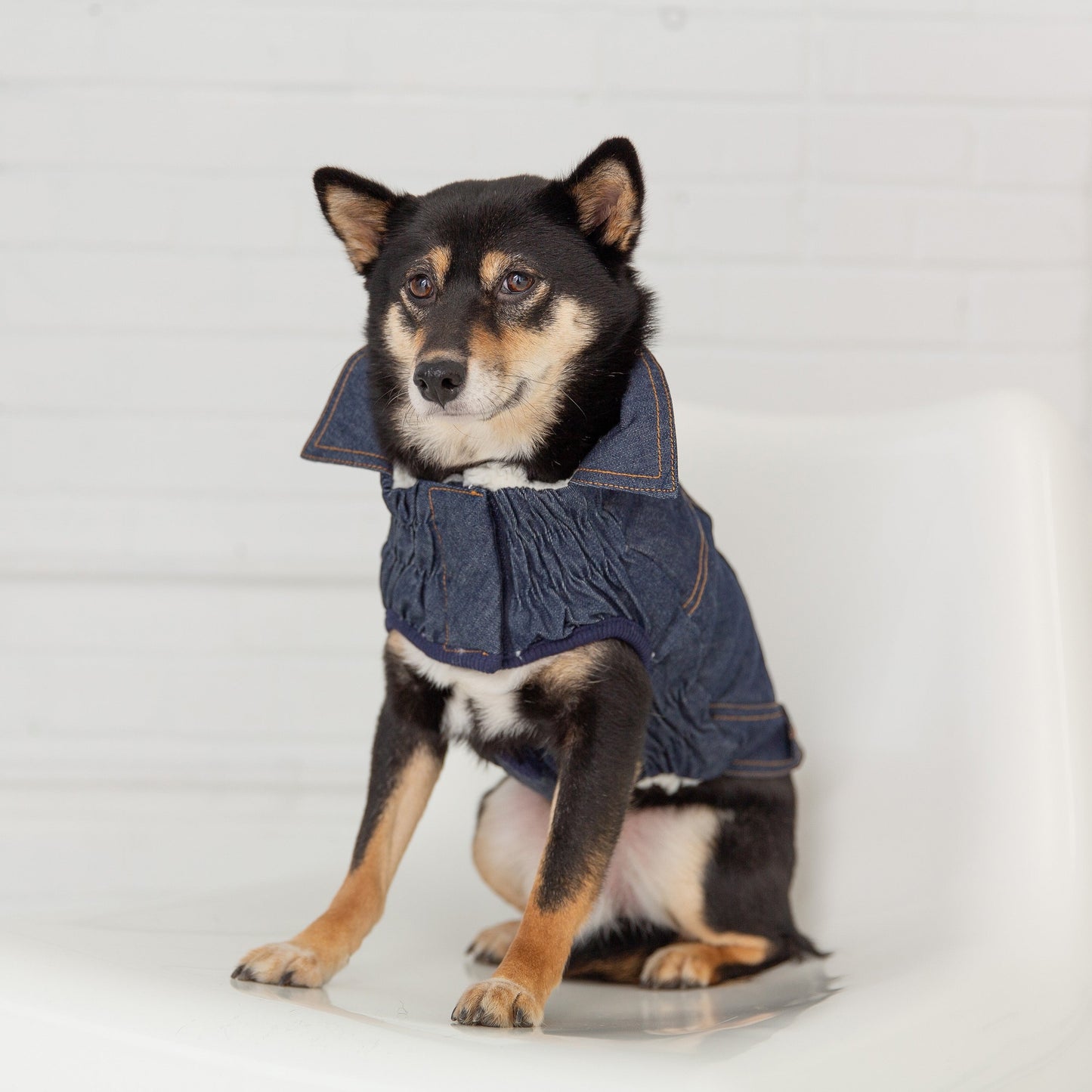TD GF Luxury Pet Coat Elasto-Fit Denim Dog Jacket in XS XL XXL Winter Style Solid Pattern Cute Polyester Cloth Accessories