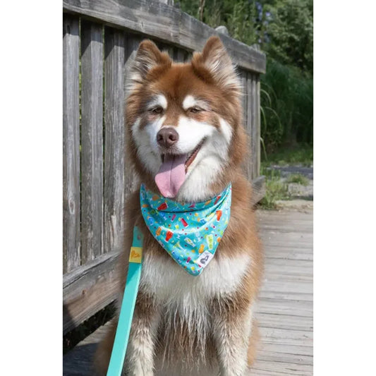 TD Seaside Sips Dog Bandana Stylish Pet Clothes for Canine Comfort