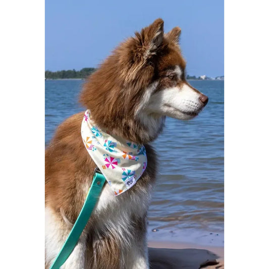 TD Pet Clothes Sun & Shade Dog Bandana