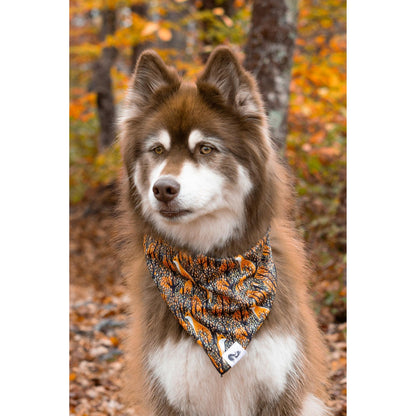 TD Fall Dog Bandana with Foxes Stylish Pet Clothes