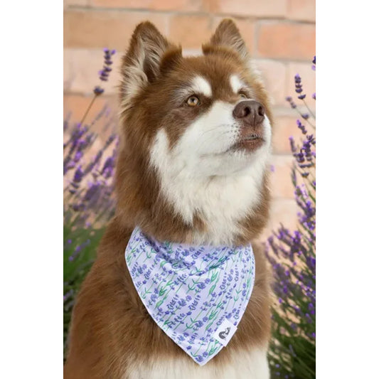TD Pet Clothes Lavender Blooms Dog Bandana