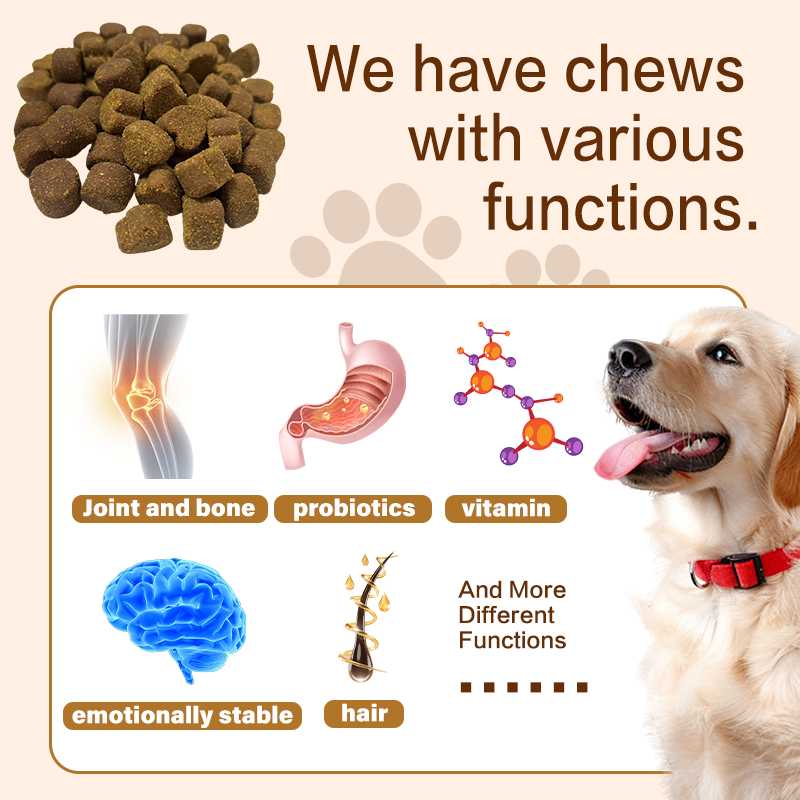 Multifunctional Pet Nutritional Supplements for Dogs Dog Vitamins for Optimal Health Care