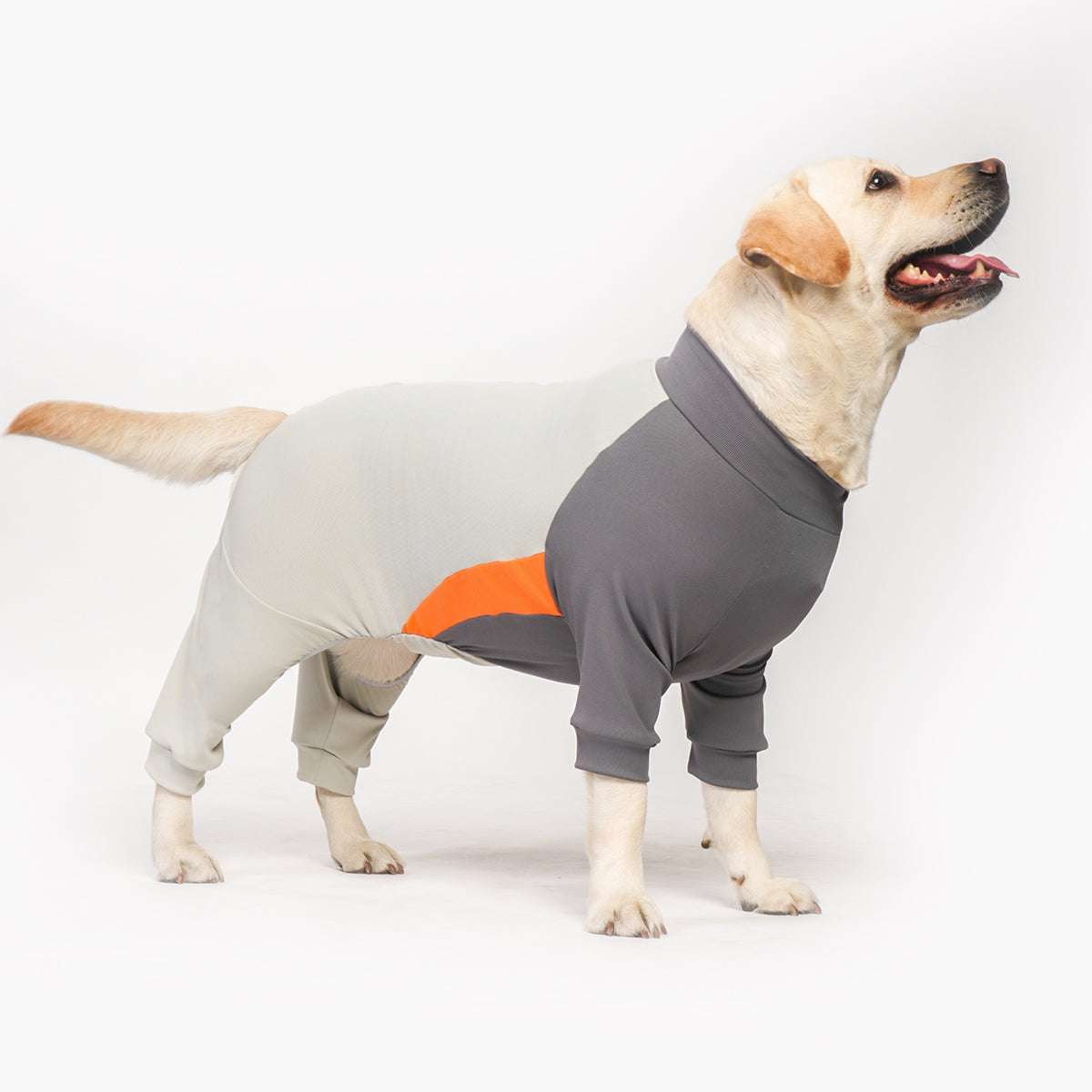 Dog Pajamas Extra-Large Elasticity Long Sleeve Anti-Shedding Dog Onesie Post Surgery Recovery Dog Clothes for Pets