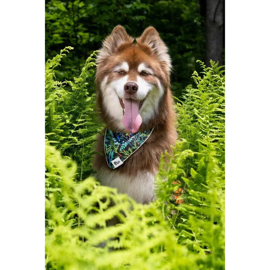 TD Magical Fern Forest Dog Bandana Stylish Pet Clothes for Dogs