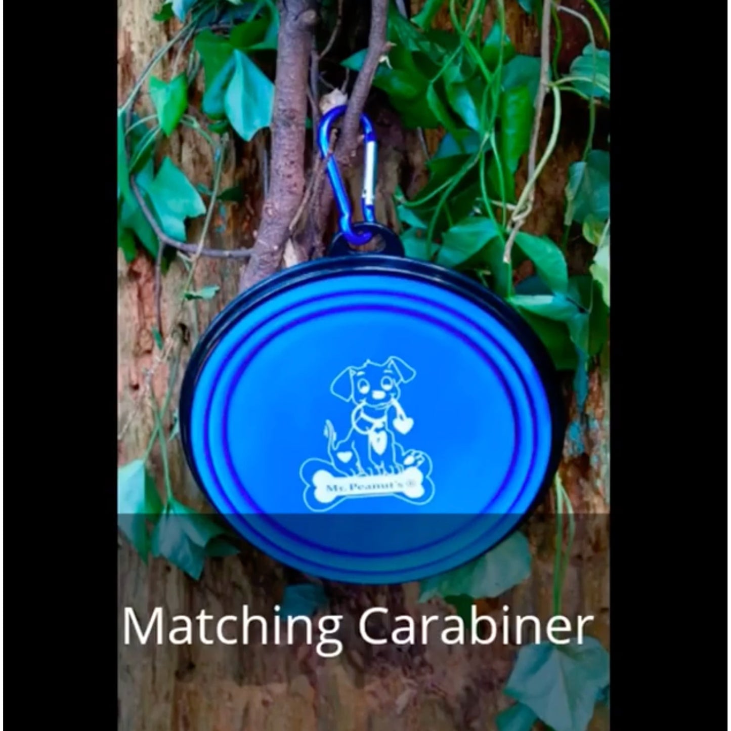 TD Single Blue Silicone Collapsible Travel Bowl XL Dog Feeder for Hiking Camping Walking Made with Stainless Steel