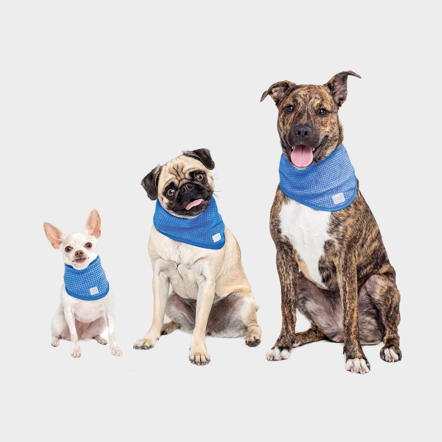 TD GF Pet Ice Band Cute Cotton Cloth Appraisal for Winter Summer Spring Seasons for Clothing and Apparel