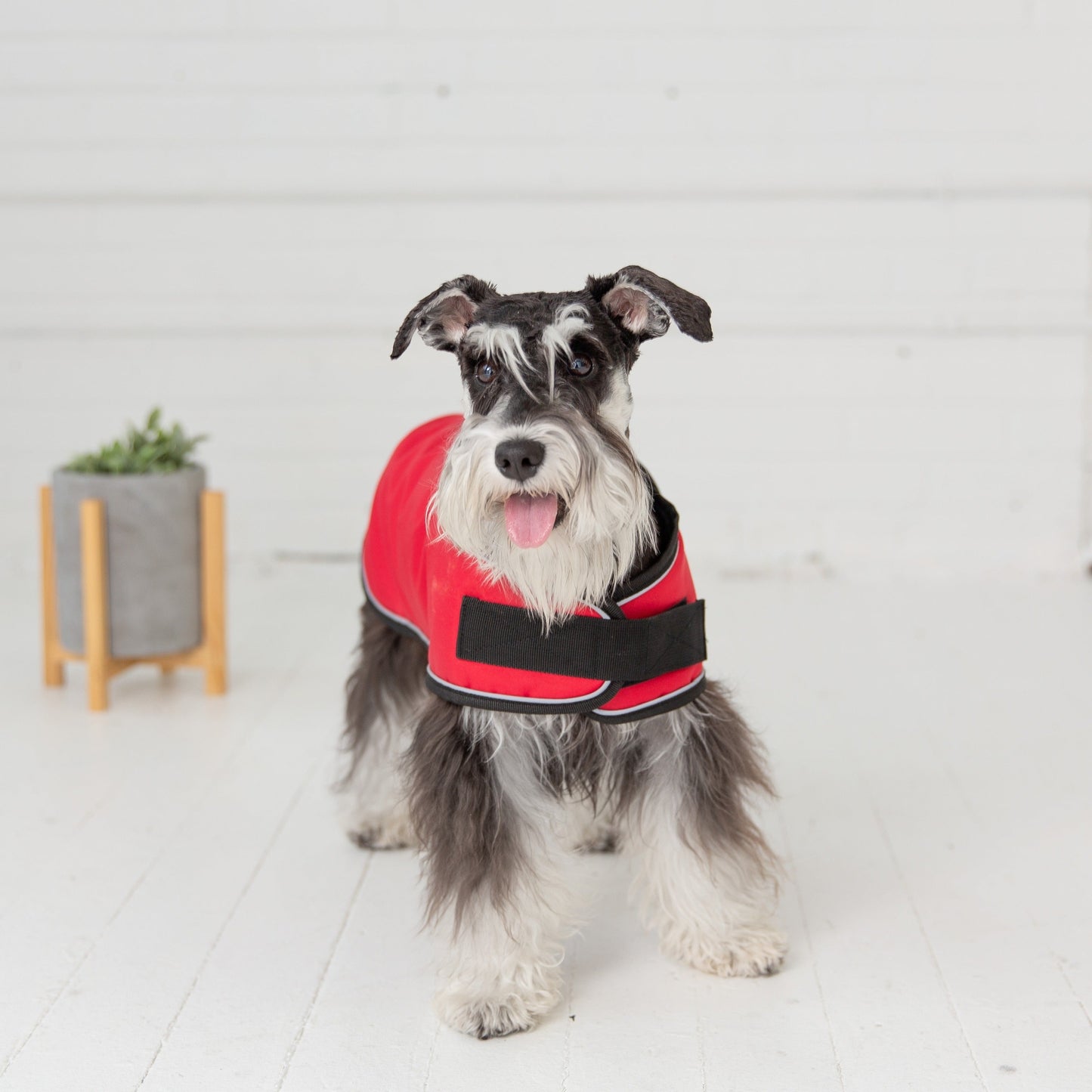 TD GF Classic Style Pet Dog Coat Sustainable Classic Trench XS Size Free Solid Fleece Blanket for Autumn Perfect Cat Accessories