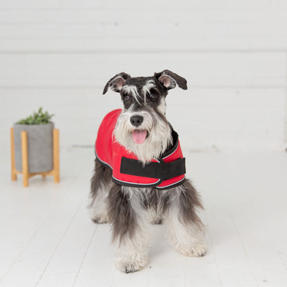 TD GF Classic Style Pet Dog Coat Sustainable Classic Trench XS Size Free Solid Fleece Blanket for Autumn Perfect Cat Accessories