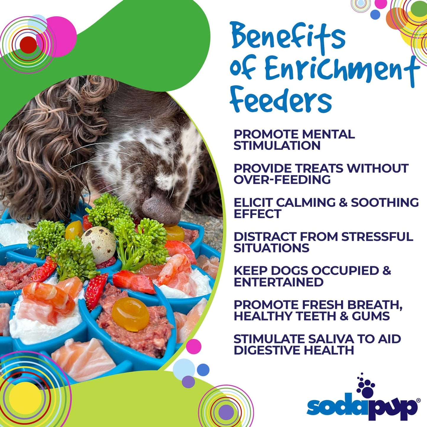 TD 2-in-1 ETray Mandala Design Silicone Outdoor Travel Bowls for Cats and Dogs Enrichment Tray for Animals' Food