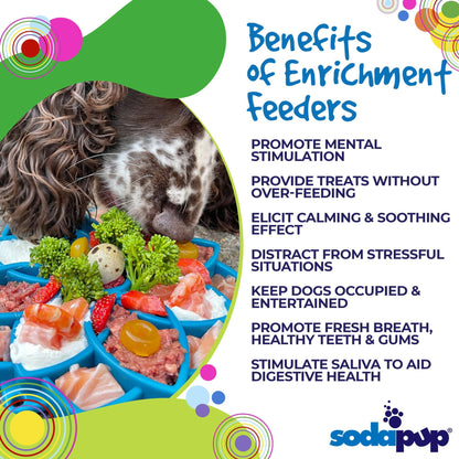 TD 2-in-1 ETray Mandala Design Silicone Outdoor Travel Bowls for Cats and Dogs Enrichment Tray for Animals' Food