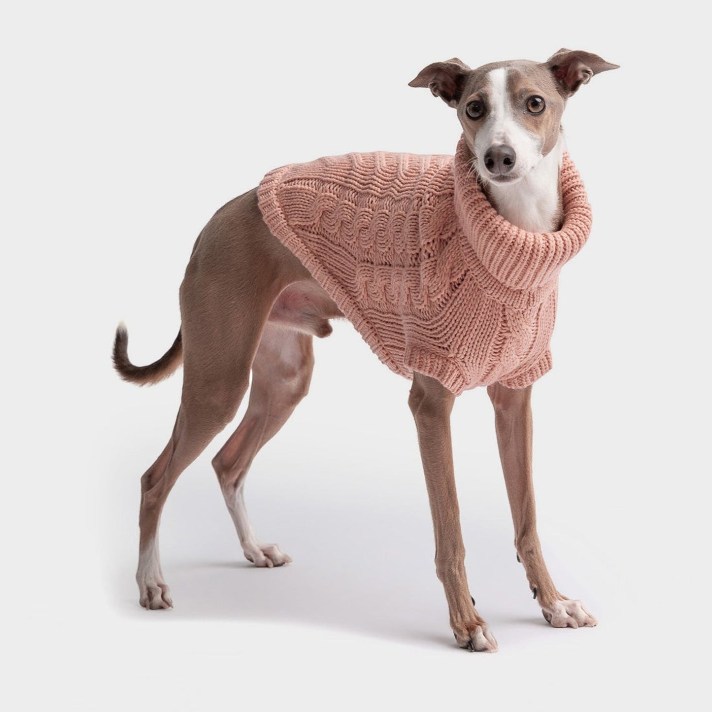 TD GF Elegant Luxury Pet Chalet Dog Sweater XS-XXL Autumn Accessory Bamboo Latex Corduroy Material XS-XXL
