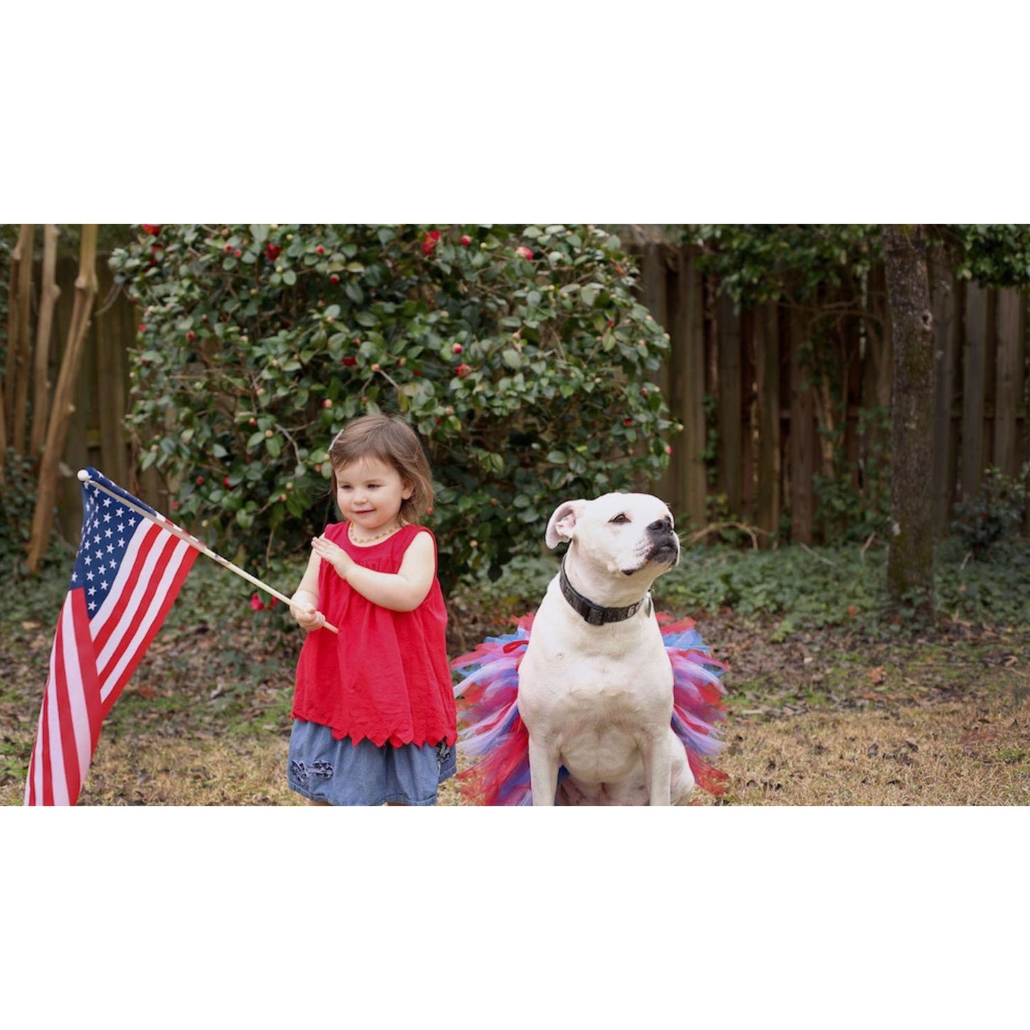 TD XS Size Dog Tutu Skirt in Red/White/Blue for 4th of July Pet Clothes
