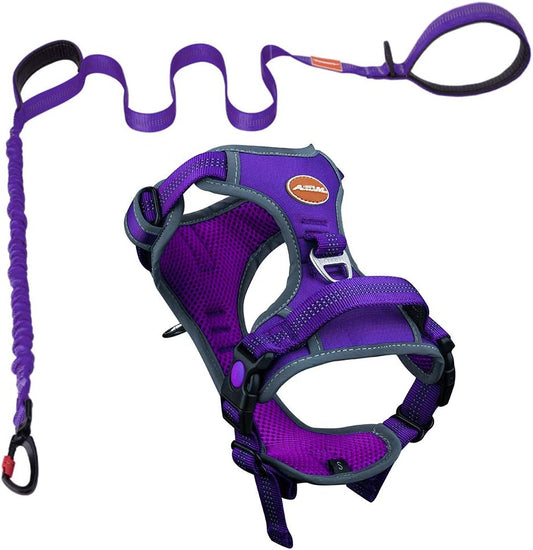 Dog Harness Leash Set, No Pull Dog Harness, Front Clip Dog Harness, Reflective Dog Vest, with 5 Ft Dual Handle Dog Leash, Padded Handles Bungee Training Dog Leash S Purple