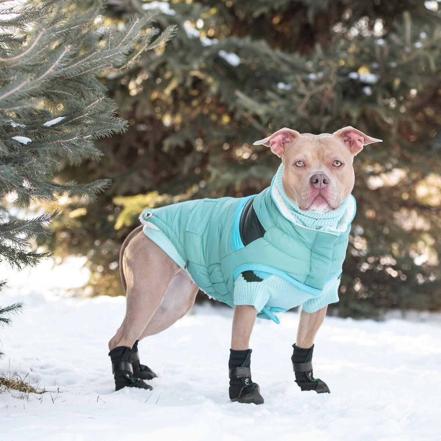 TD GF Luxury Classic Pet Alpine Puffer Coat in XS S XL XXL Sizes Breathable Polyester Accessory for Dogs