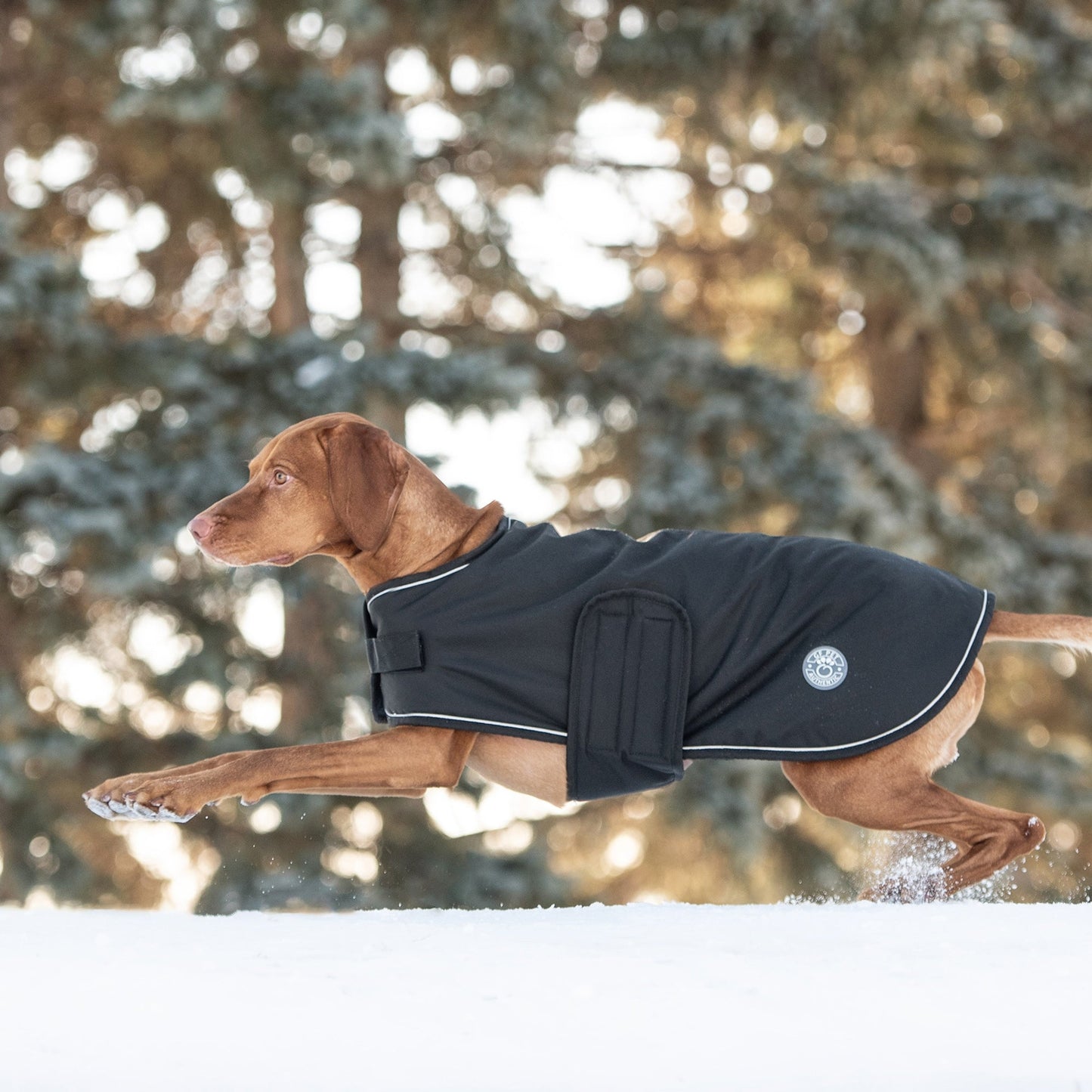 TD GF Classic Style Pet Dog Coat Sustainable Classic Trench XS Size Free Solid Fleece Blanket for Autumn Perfect Cat Accessories