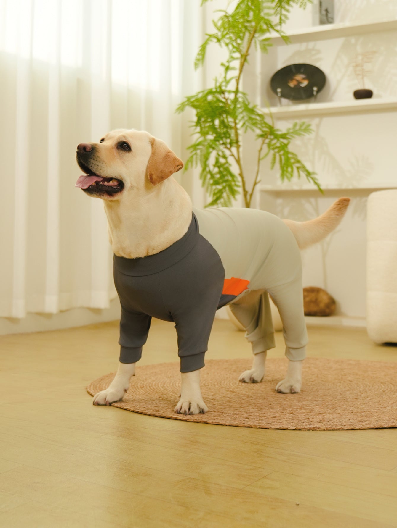 Dog Pajamas Extra-Large Elasticity Long Sleeve Anti-Shedding Dog Onesie Post Surgery Recovery Dog Clothes for Pets