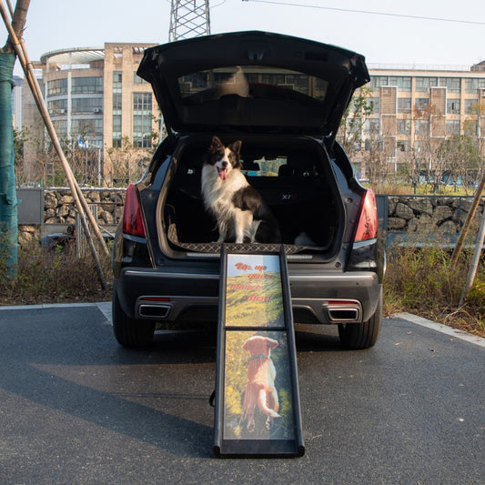 Folding Dog Ramp for Trucks SUVs, Portable Climbing Dog Car Ramp with Nonslip Traction and Extendable Support Legs, Dog Steps up