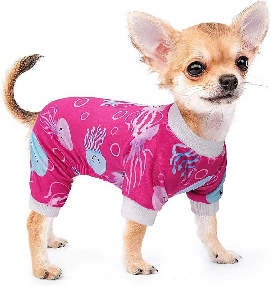 Dog Jumpsuit Cute Cartoon Animal Print Velvet Puppy Warm Clothes