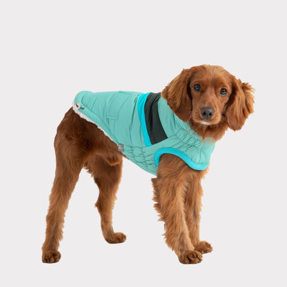 TD GF Luxury Classic Pet Alpine Puffer Coat in XS S XL XXL Sizes Breathable Polyester Accessory for Dogs