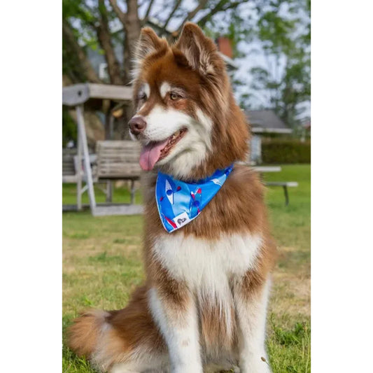 TD K9 Kayak Dog Bandana Premium Pet Clothes for Water Activities