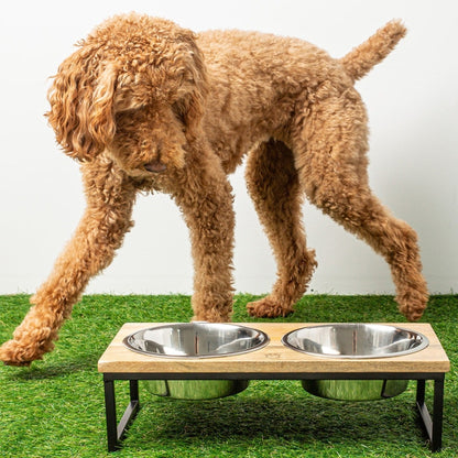 TD GF Stainless Steel Wood & Metal Elevated Feeder for Outdoor Use with Chickens Cats Pigeons Rabbits Other Animals for Travel
