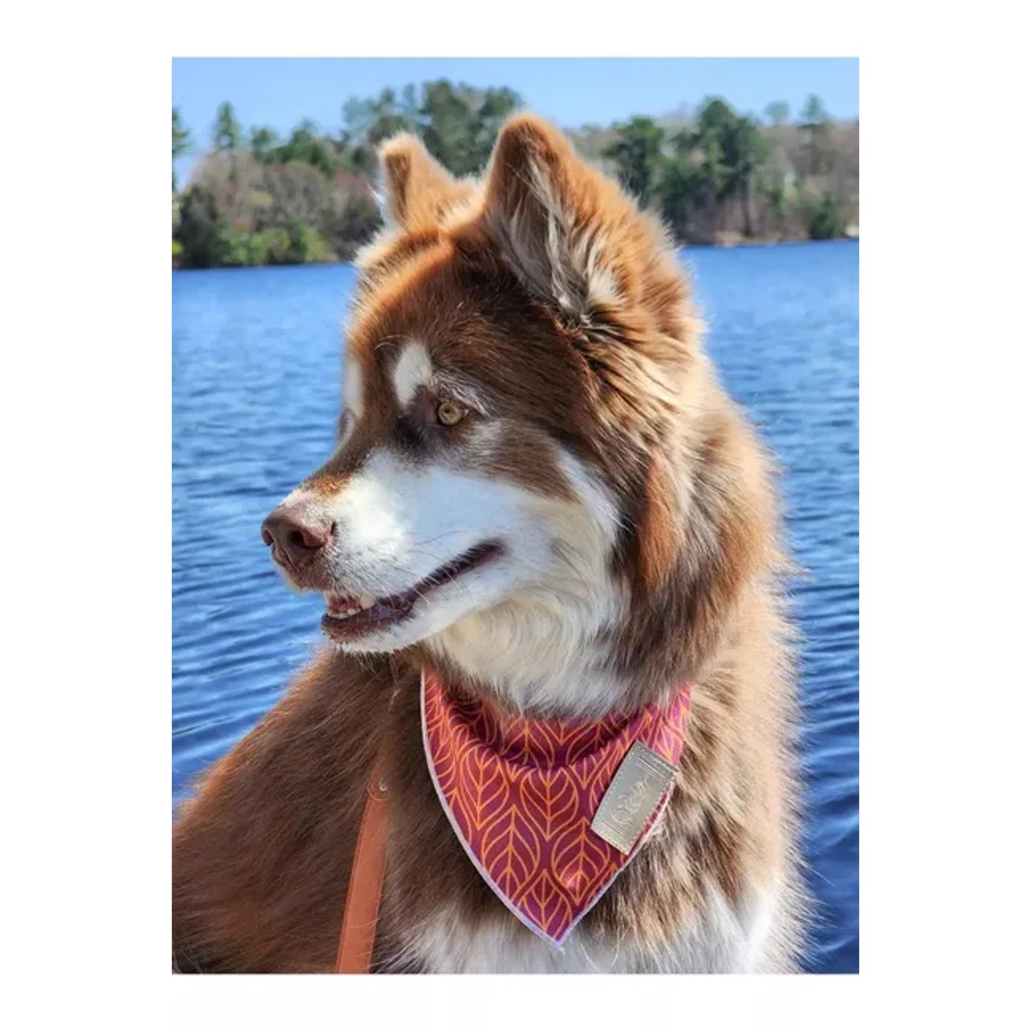 TD Twilight Trails Bandana Stylish Pet Clothes for Dogs and Cats