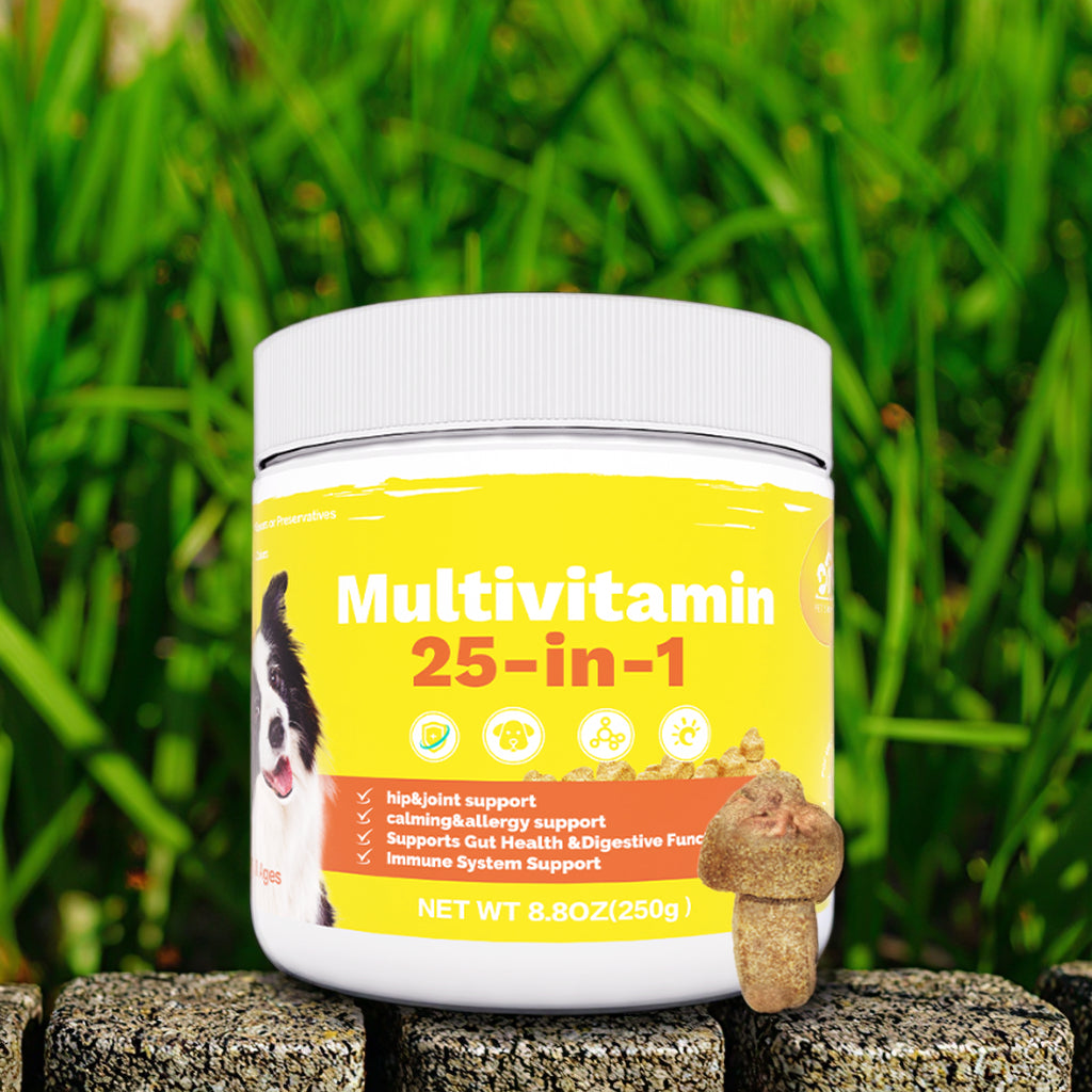 Multifunctional Pet Nutritional Supplements for Dogs Dog Vitamins for Optimal Health Care
