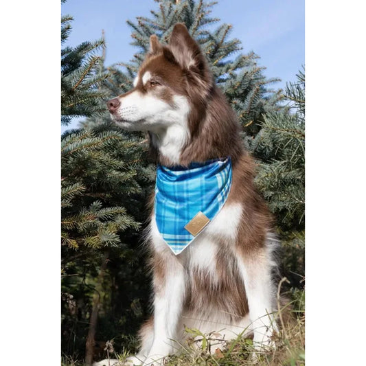 TD Blue Spruce Plaid Dog Bandana Stylish Pet Clothes