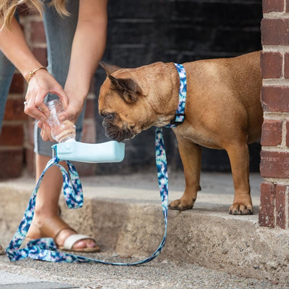 TD GF Eco-Friendly Automatic Pet Water Bottle Small and XL Plastic Bowls for Cats and Other Animals 32oz Capacity 1L Volume