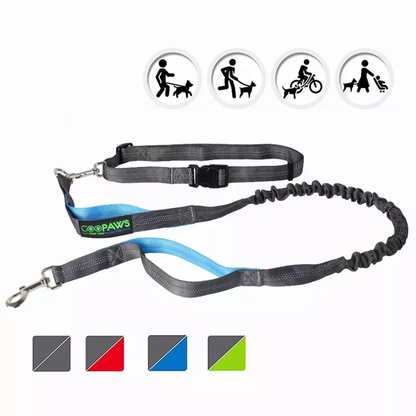 TD JESPET Dual Handle Waist Leash for Medium Large Dogs Hand-Free Running Reflective Bungee Adjustable for Durable Exercise