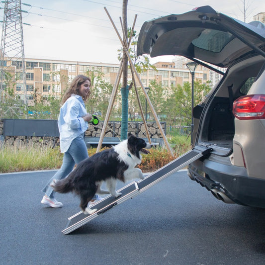 Foldable Aluminum Dog Car Step Ramp, Dog Ramp Climbing Ladder with PVC Handle, Non-slip Foot Mats for Most Sized Dogs, Pet Ramp