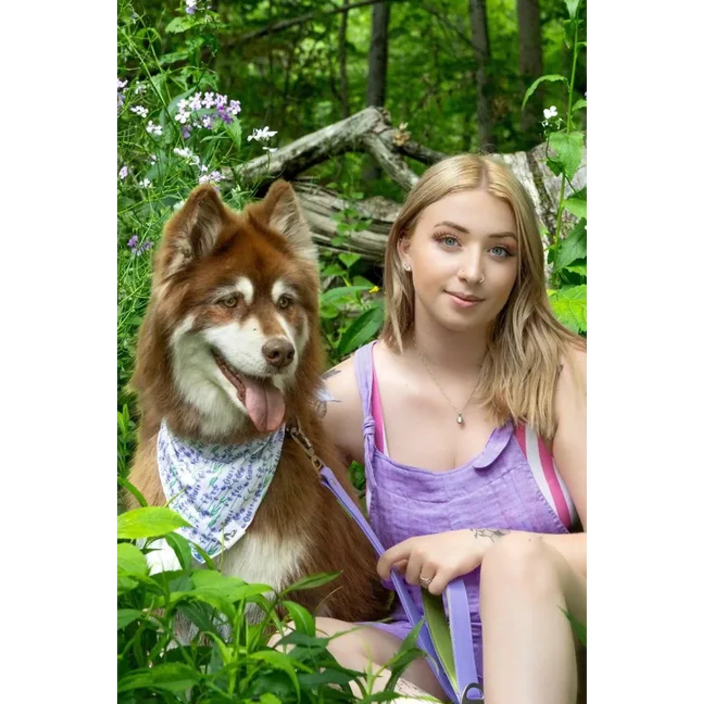 TD Pet Clothes Lavender Blooms Dog Bandana
