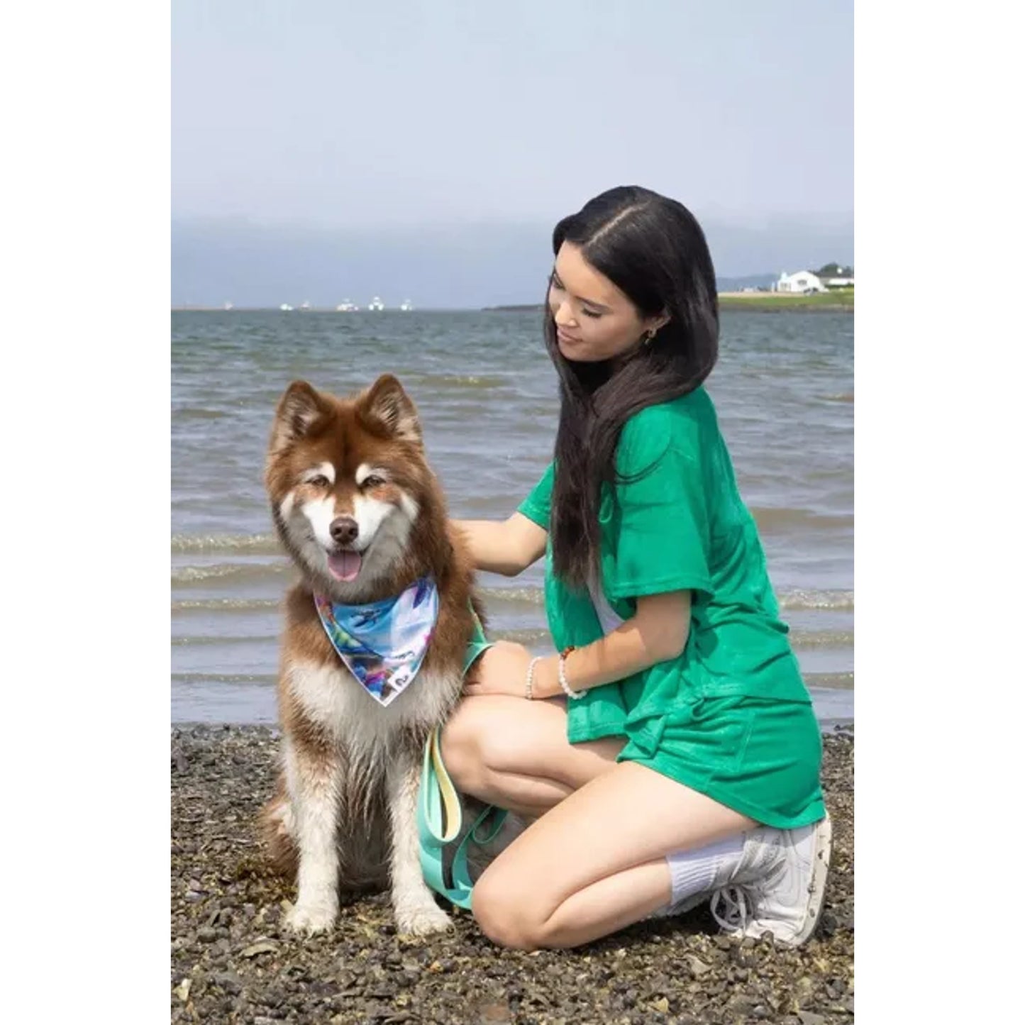 TD Pet Clothes Sea Turtle Swim Dog Bandana