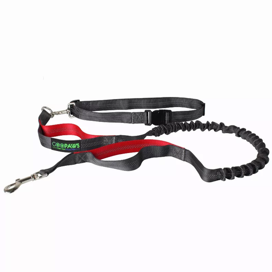 TD JESPET Dual Handle Waist Leash for Medium Large Dogs Hand-Free Running Reflective Bungee Adjustable for Durable Exercise