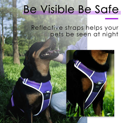 Dog Harness Leash Set, No Pull Dog Harness, Front Clip Dog Harness, Reflective Dog Vest, with 5 Ft Dual Handle Dog Leash, Padded Handles Bungee Training Dog Leash S Purple