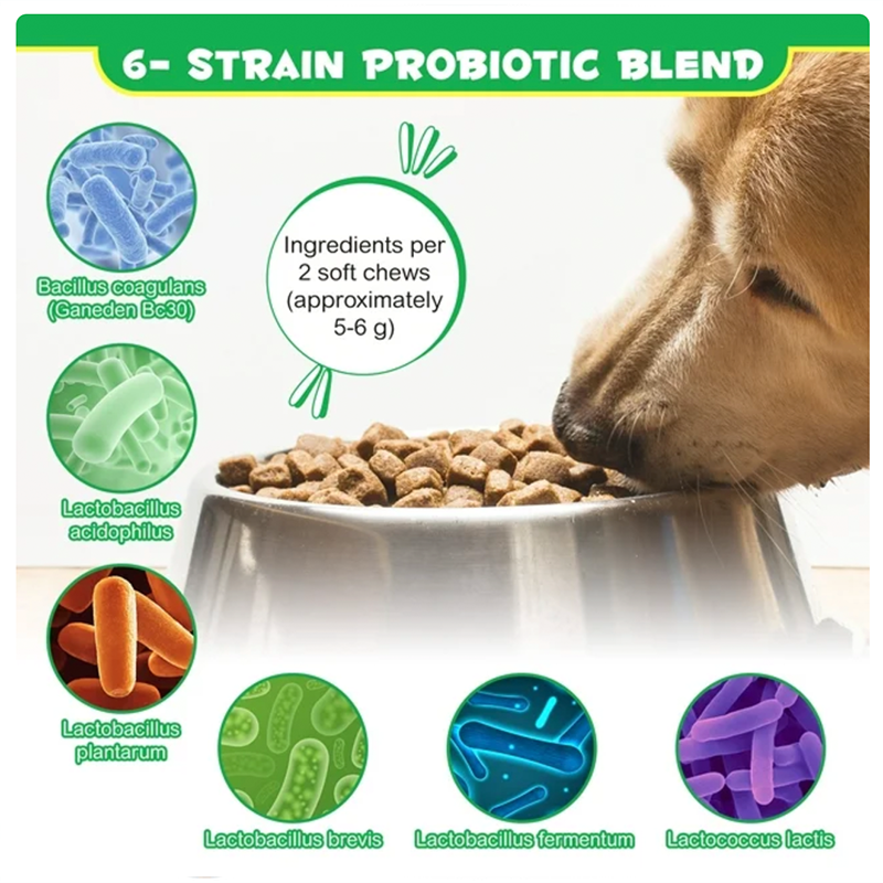 Multifunctional Pet Nutritional Supplements for Dogs Dog Vitamins for Optimal Health Care