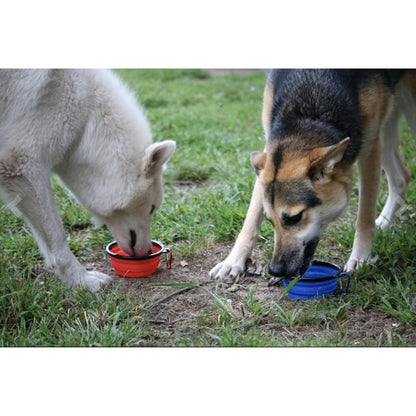 TD Single Blue Silicone Collapsible Travel Bowl XL Dog Feeder for Hiking Camping Walking Made with Stainless Steel