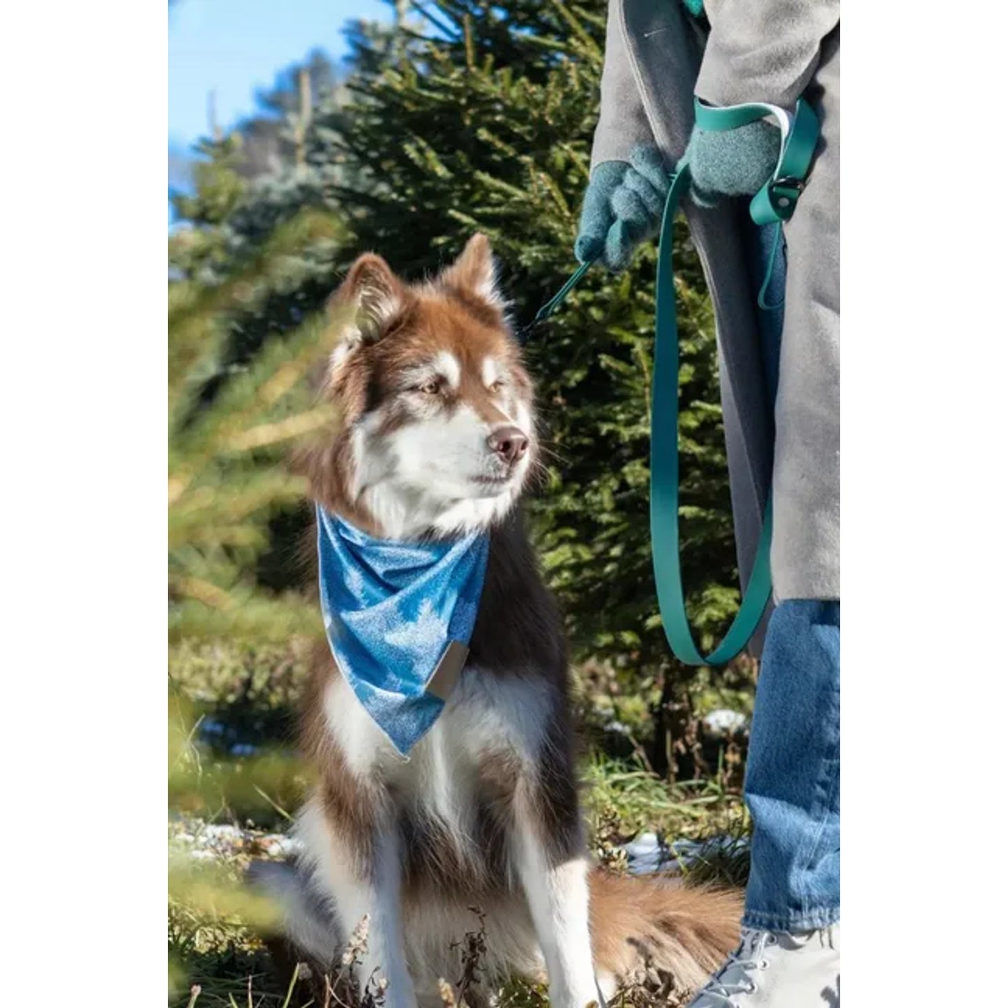 TD Siberian Spruce Pet Clothes Stylish Dog Bandana