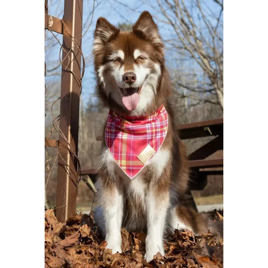 TD Wine Plaid Dog Bandana Stylish Pet Clothes for Dogs