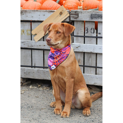 TD Spooky Bat Squares Dog Bandana Stylish Pet Clothes for Dogs